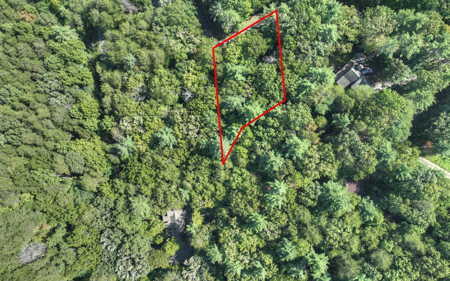 Lc136 Walnut Mountain Road Ellijay, GA 30536 - Photo 8 of 20 Additional View