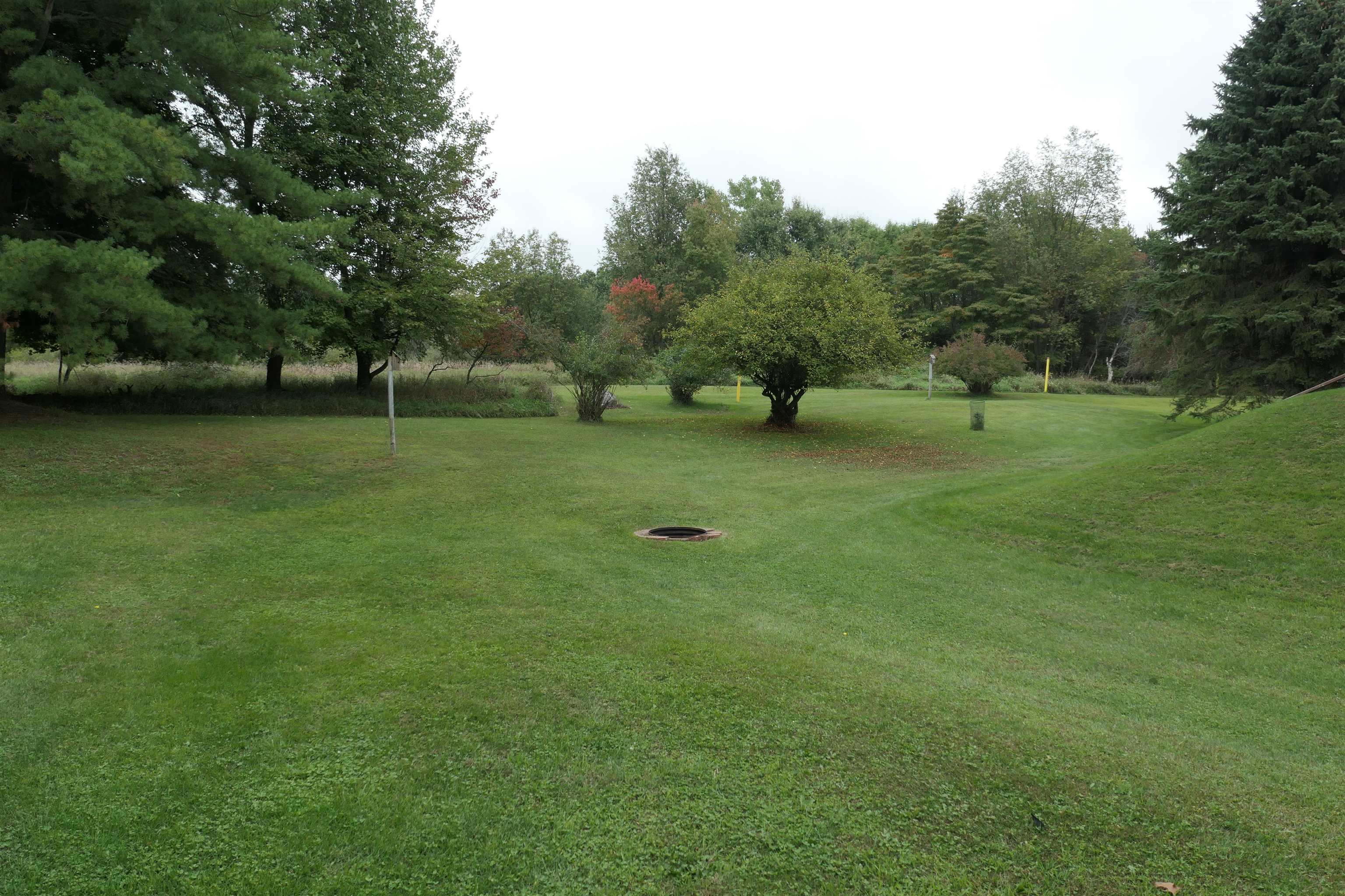 5669 Lake Montcalm Road Northeast Edmore, MI 48829 - Photo 39 of 41