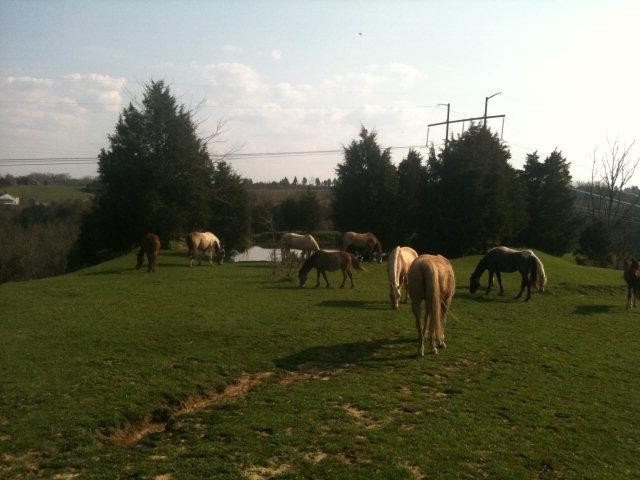 797 Stoney Run Road Richmond, KY 40475 - Photo 2 of 34 Photo 2