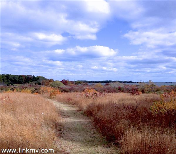 14 R Pulpit Rock Road Oak Bluffs, MA 02557 - Photo 39 of 41 http://d1qzqeyxiitrap.cloudfront.net/photos/32946/600/5ba49fb5.jpg