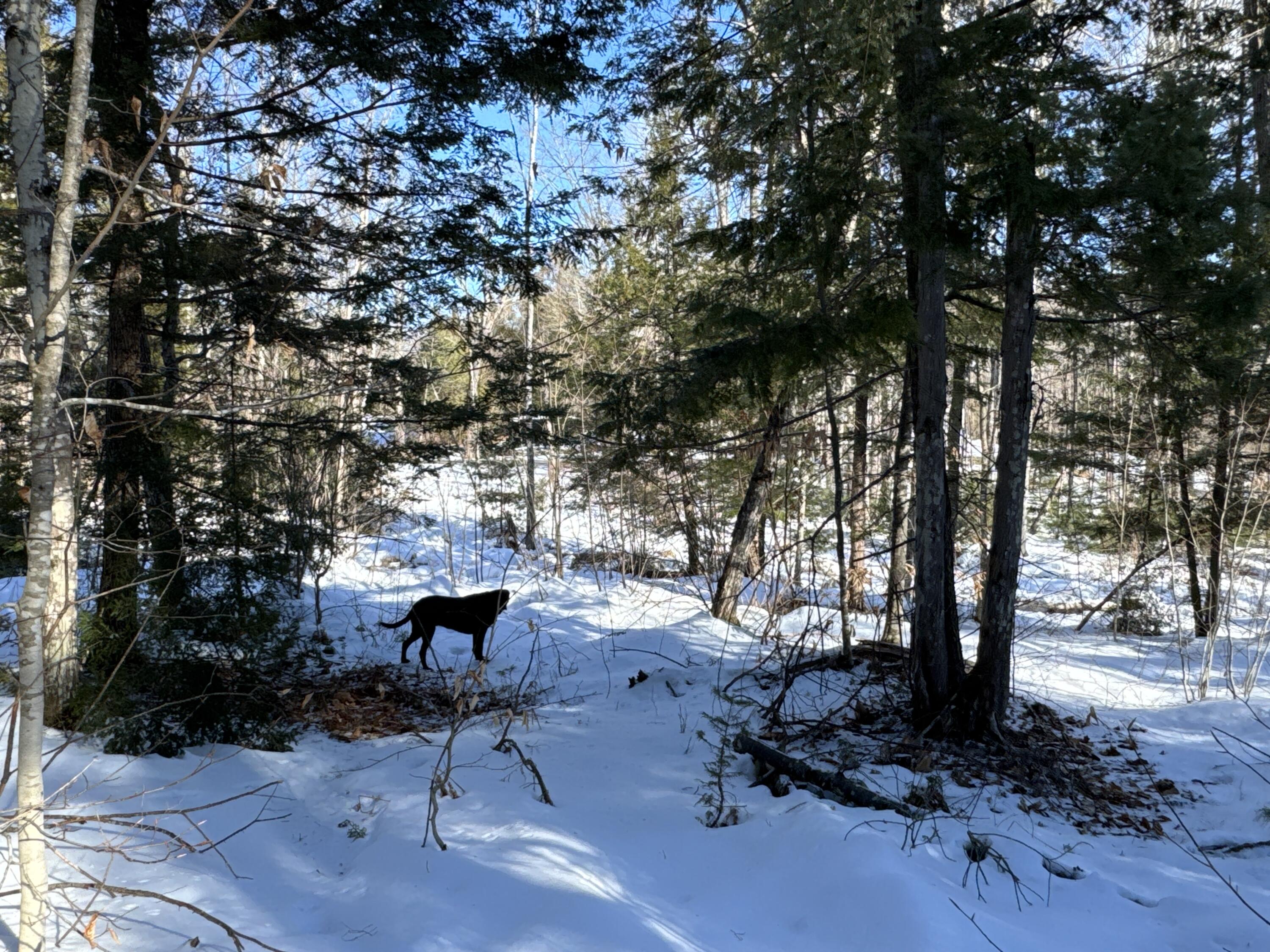 Mapr3-lot36 Foxboro Road Lovell, ME 04051 - Photo 1 of 25 R03-Lot 36 Lovell