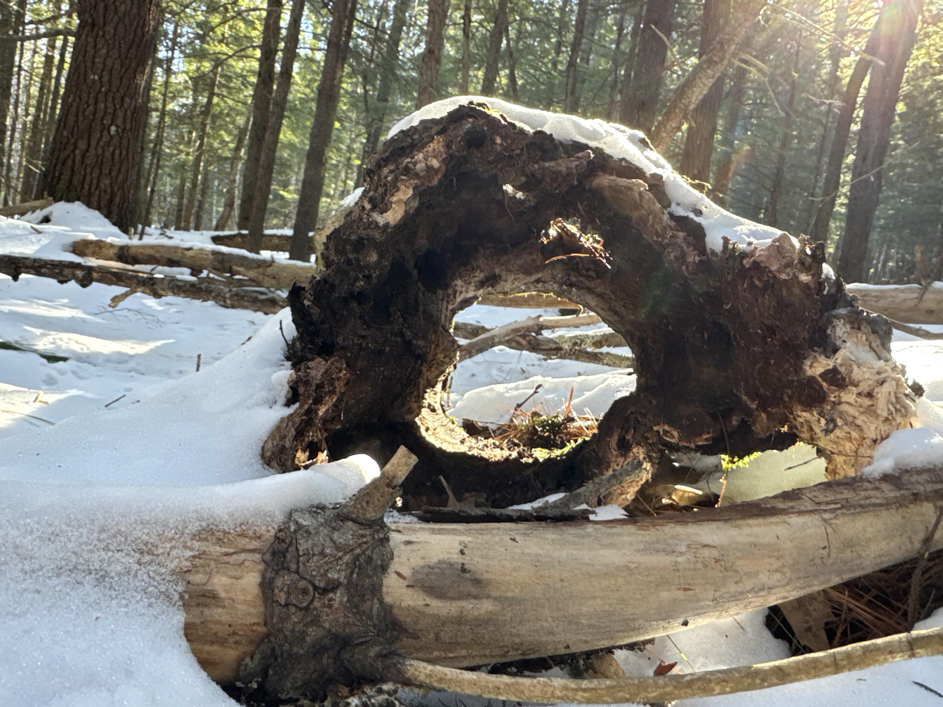 Mapr3-lot36 Foxboro Road Lovell, ME 04051 - Photo 11 of 25 IMG_5477