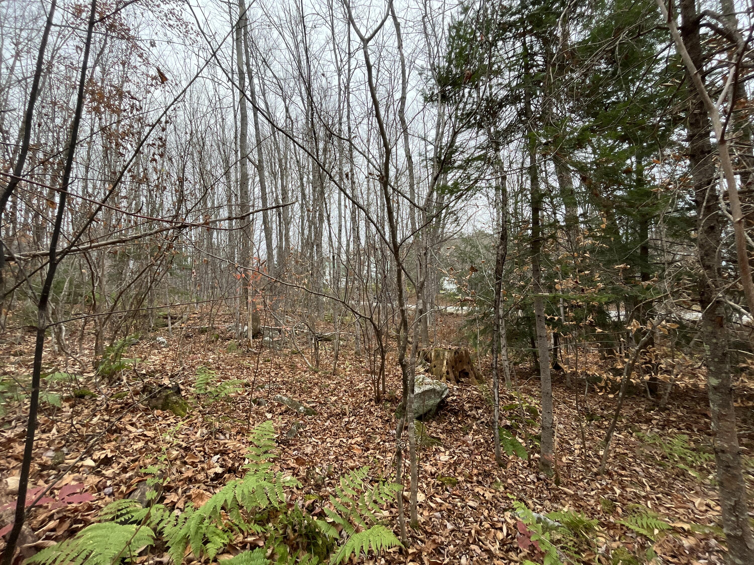 Mapr3-lot36 Foxboro Road Lovell, ME 04051 - Photo 16 of 25 looking back at road