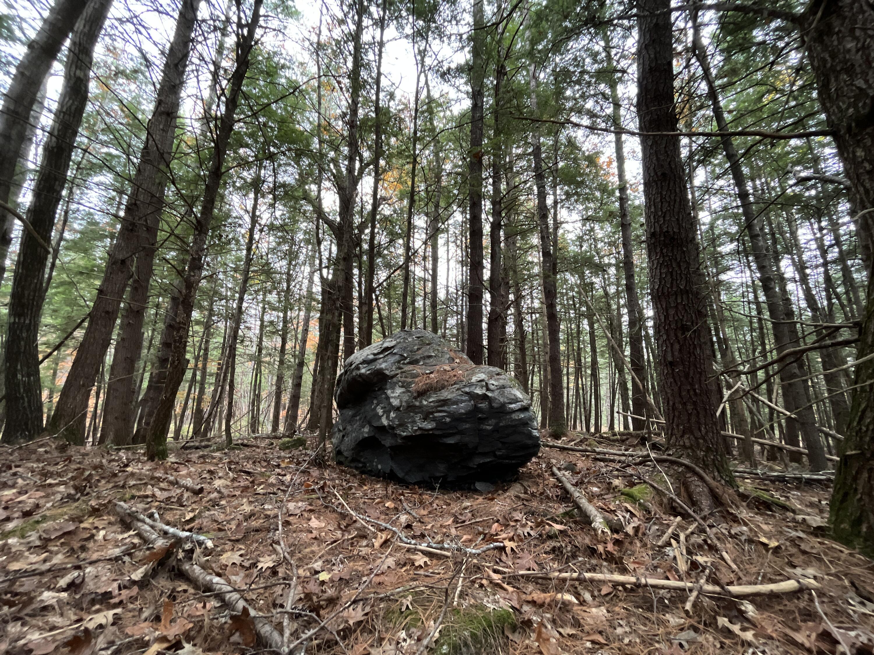 Mapr3-lot36 Foxboro Road Lovell, ME 04051 - Photo 20 of 25 Interesting terrain