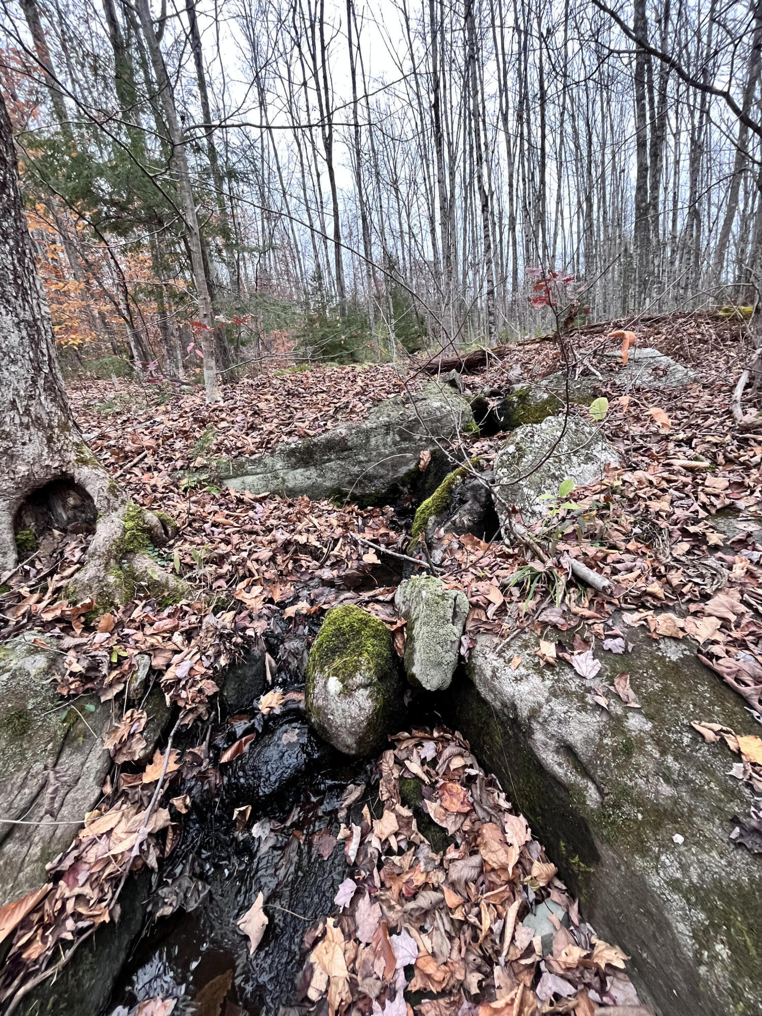 Mapr3-lot36 Foxboro Road Lovell, ME 04051 - Photo 21 of 25 Small brook or spring near the road