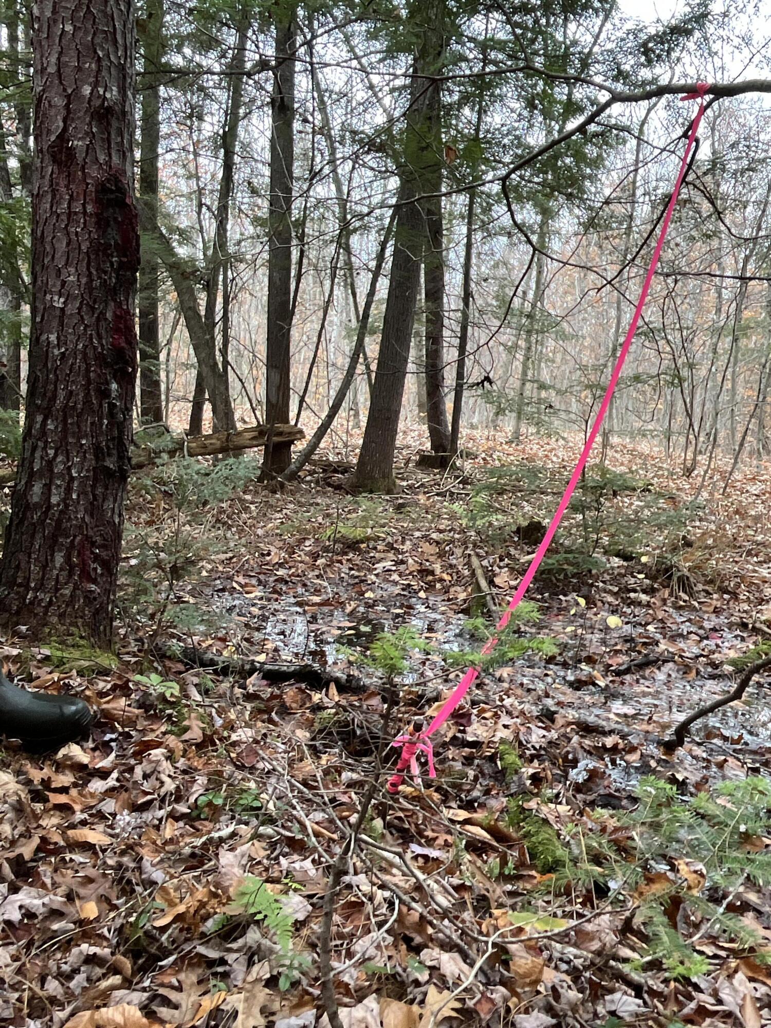 Mapr3-lot36 Foxboro Road Lovell, ME 04051 - Photo 23 of 25 Boundary lines are marked