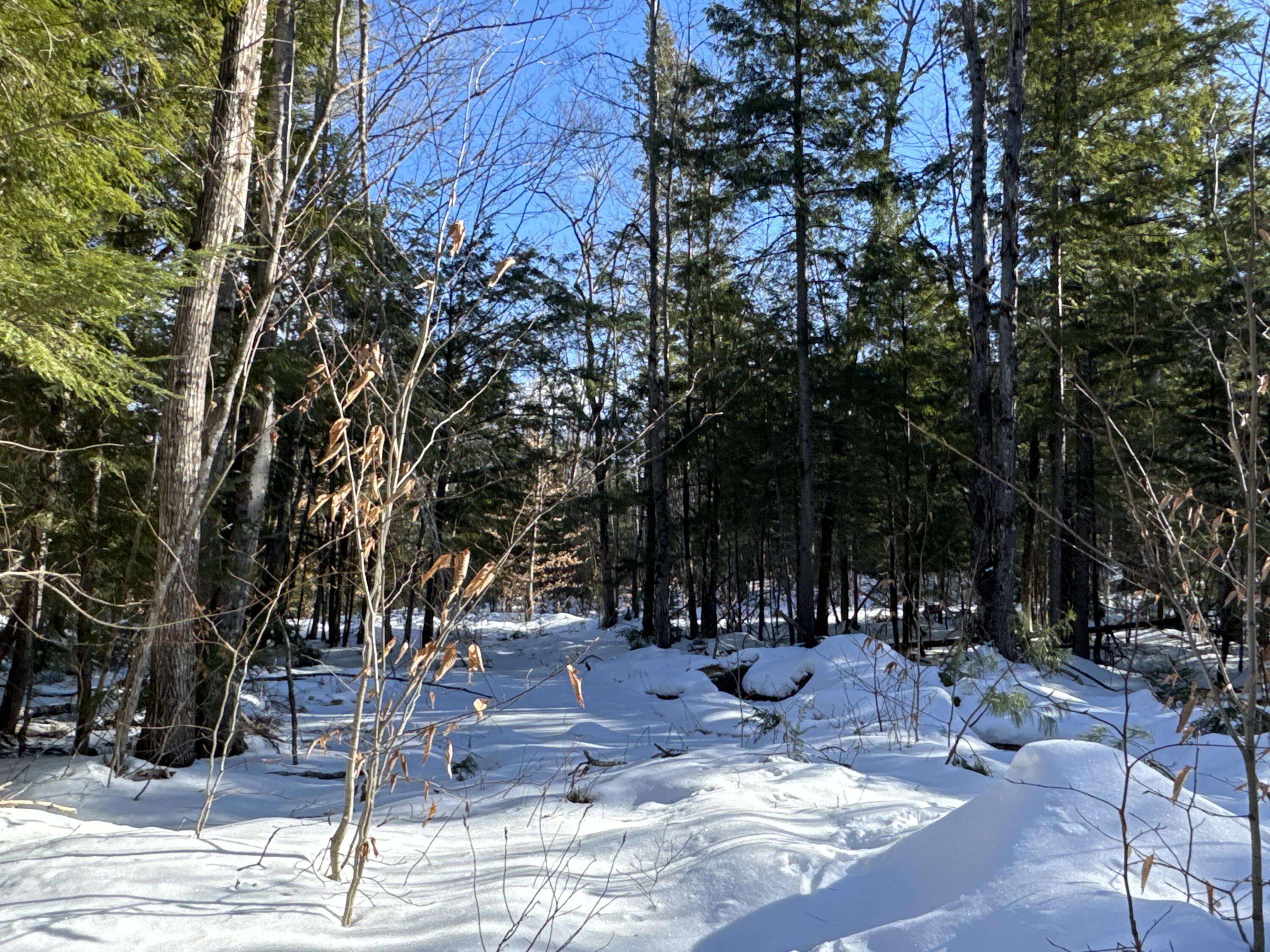 Mapr3-lot36 Foxboro Road Lovell, ME 04051 - Photo 3 of 25 IMG_5456