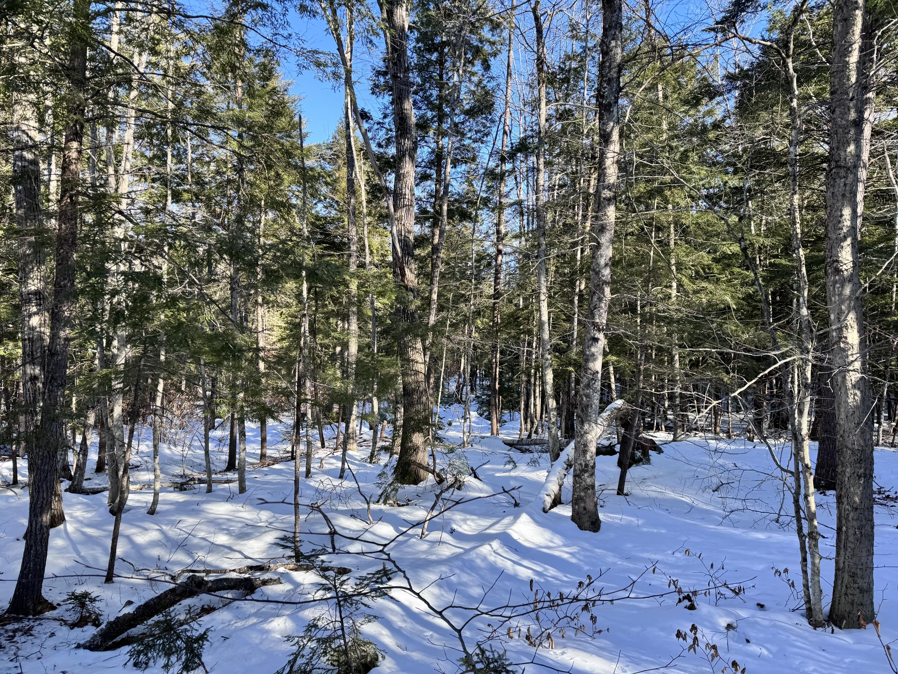 Mapr3-lot36 Foxboro Road Lovell, ME 04051 - Photo 5 of 25 IMG_5465