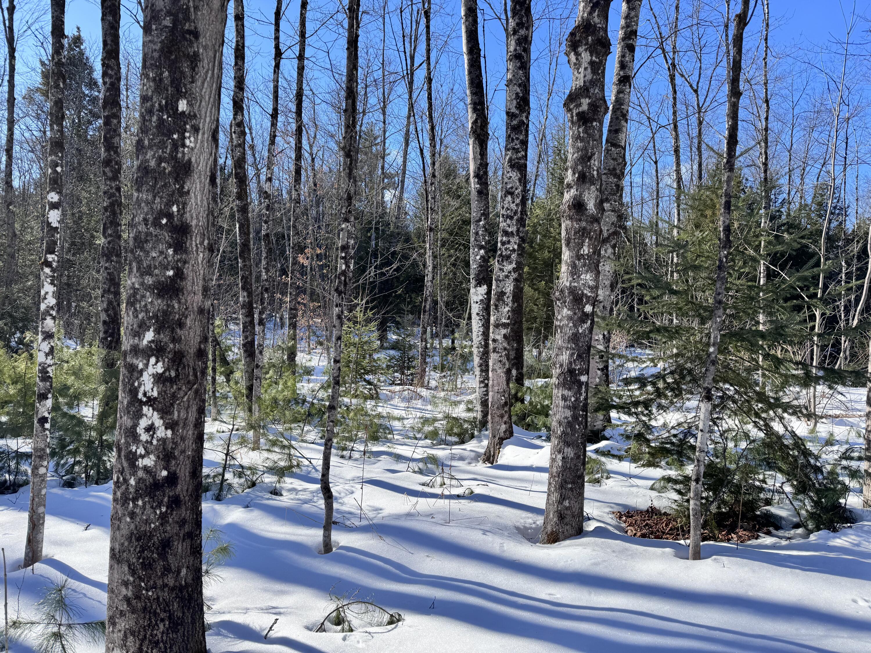 Mapr3-lot36 Foxboro Road Lovell, ME 04051 - Photo 7 of 25 IMG_5498