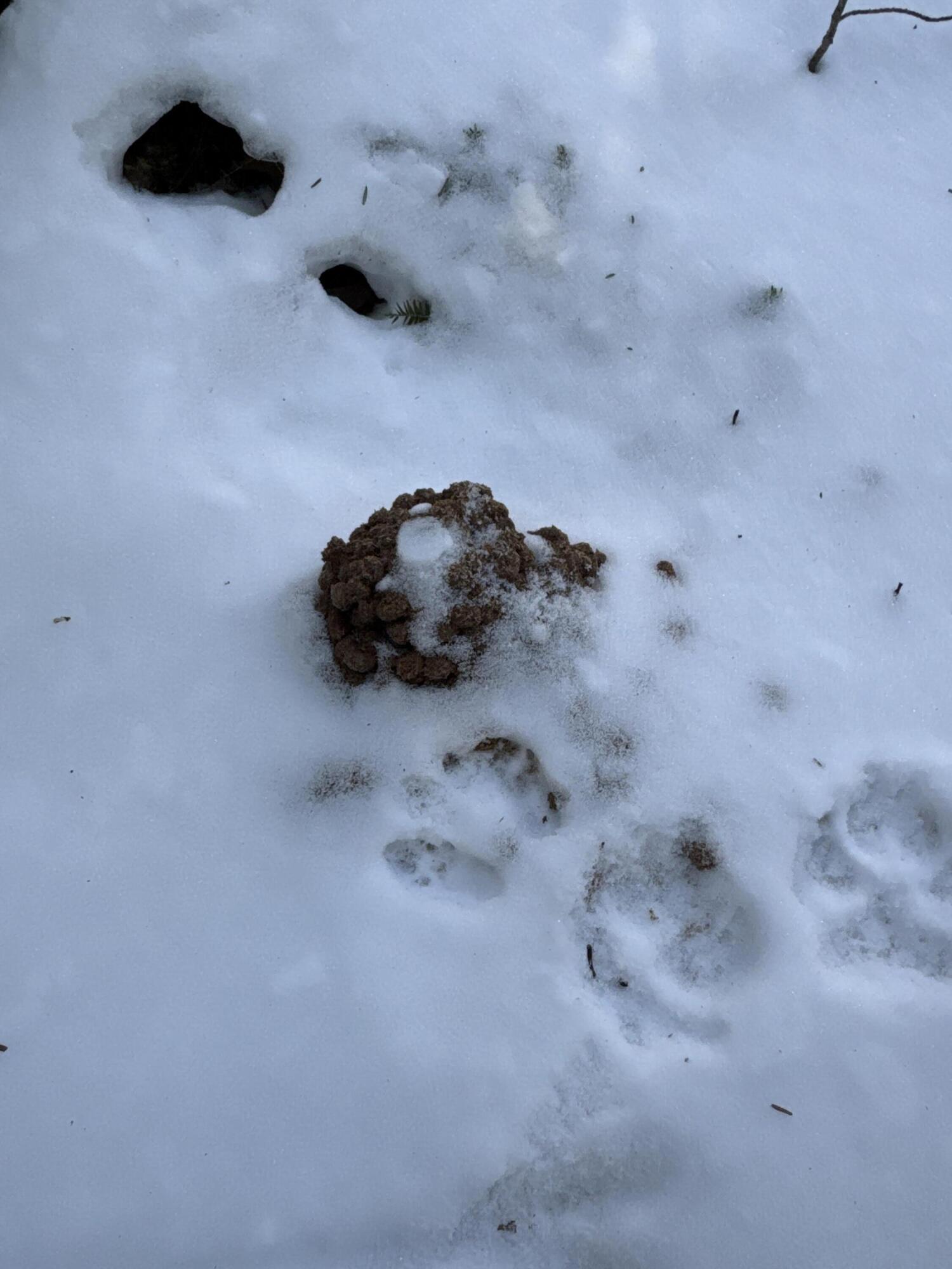 Mapr3-lot36 Foxboro Road Lovell, ME 04051 - Photo 9 of 25 IMG_5479