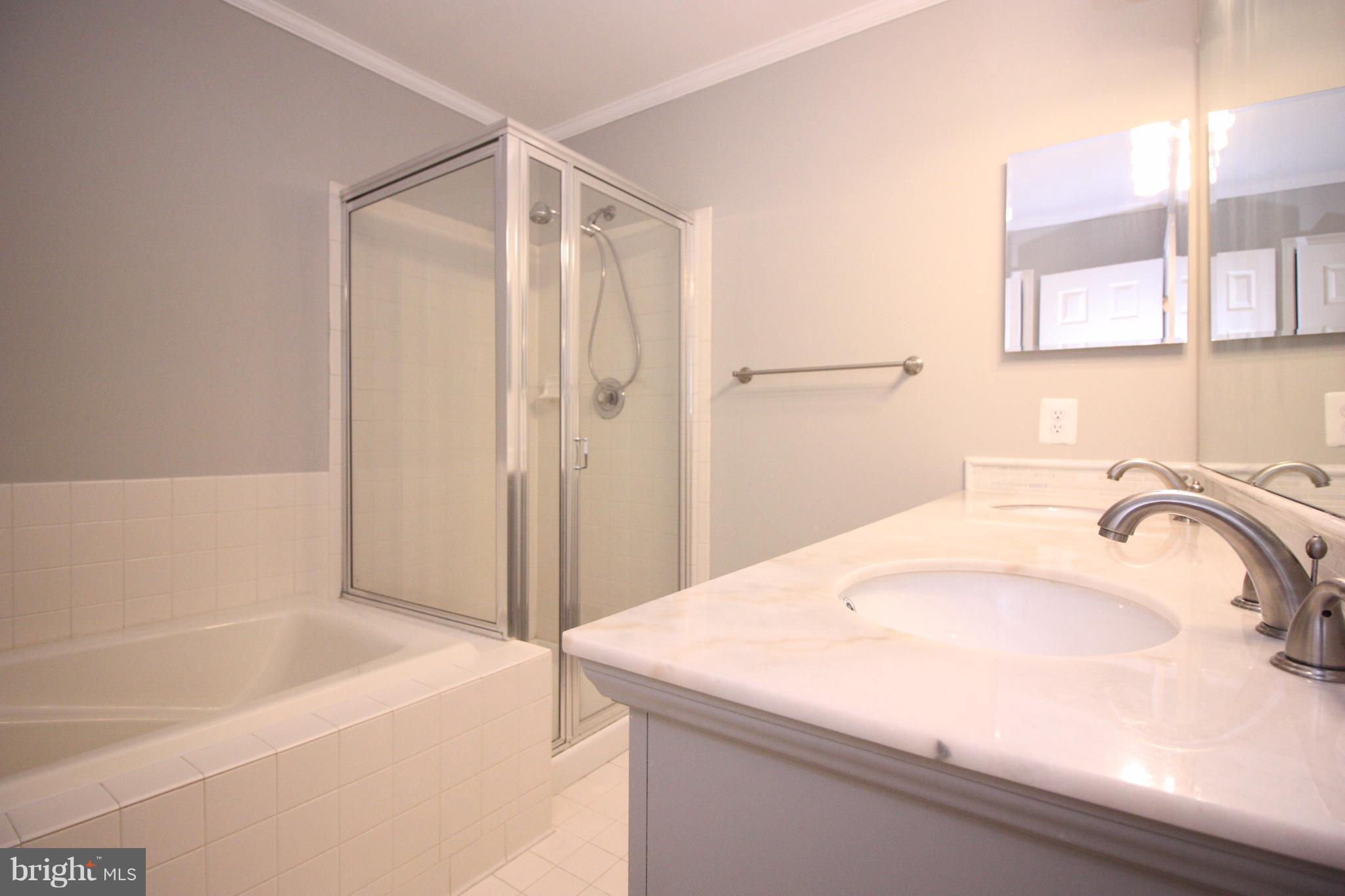 2218 Bear Den Road Frederick, MD 21701 - Photo 15 of 30 a bathroom with a sink and a bathtub