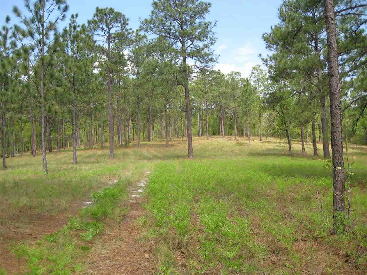 Lot # Fox Road Vass, NC 28394 - Photo 1 of 6 Primary Photo