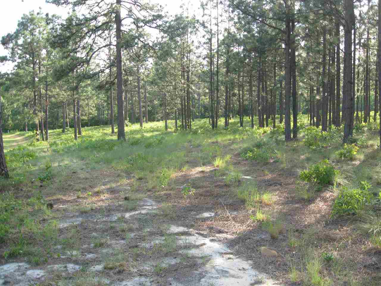 Lot # Fox Road Vass, NC 28394 - Photo 2 of 6 Additional Photo