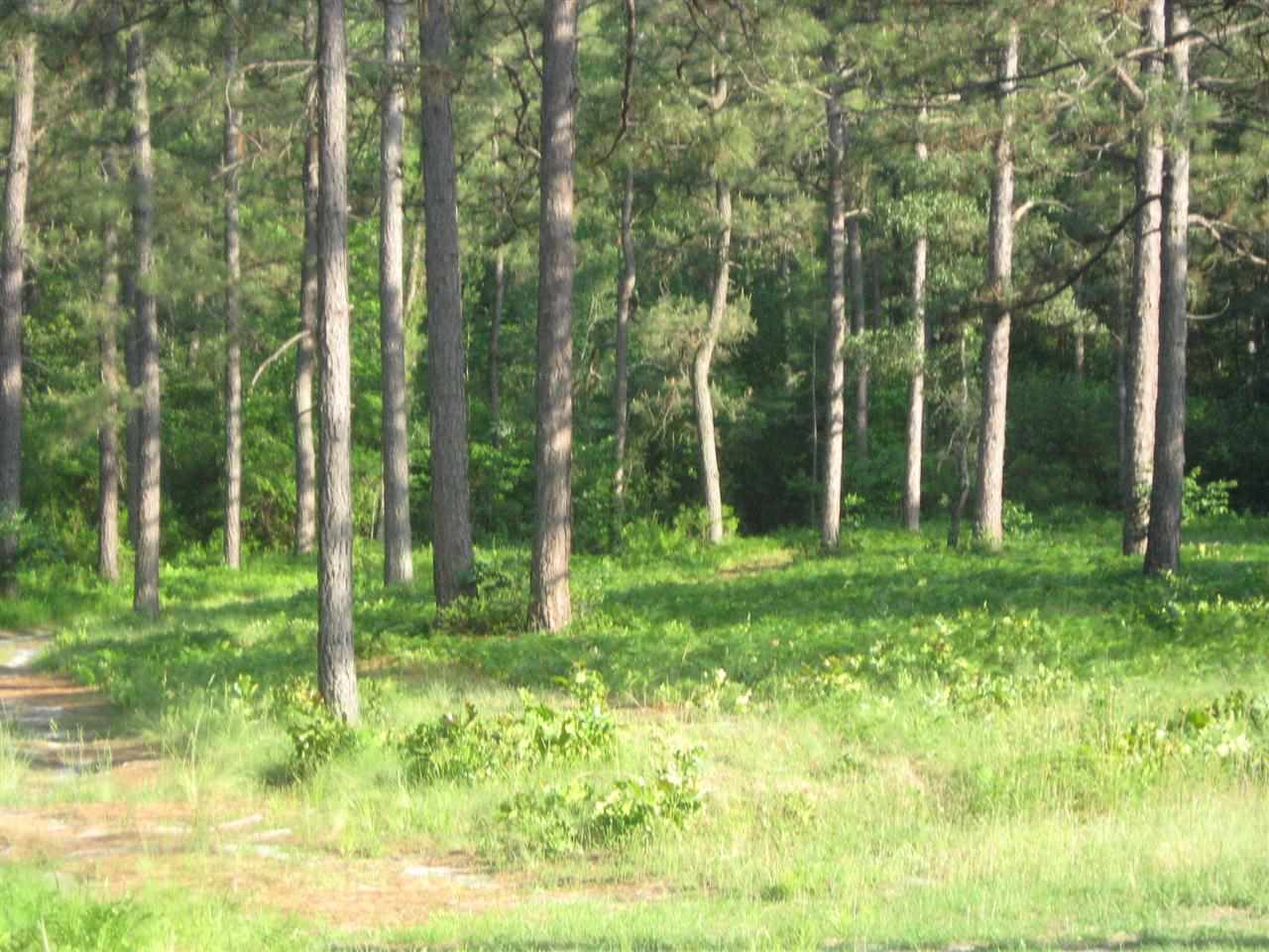 Lot # Fox Road Vass, NC 28394 - Photo 4 of 6 Additional Photo