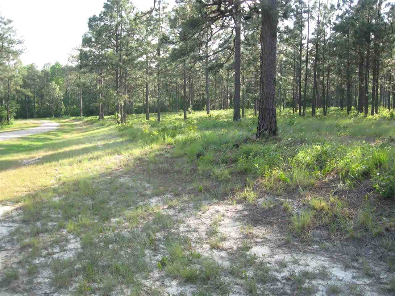 Lot # Fox Road Vass, NC 28394 - Photo 5 of 6 Additional Photo