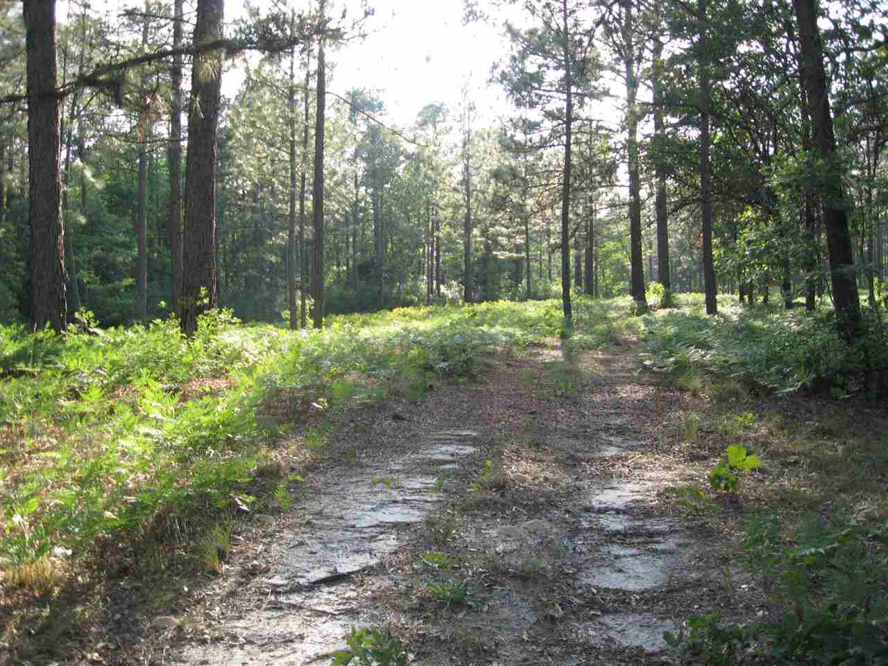 Lot # Fox Road Vass, NC 28394 - Photo 6 of 6 Additional Photo