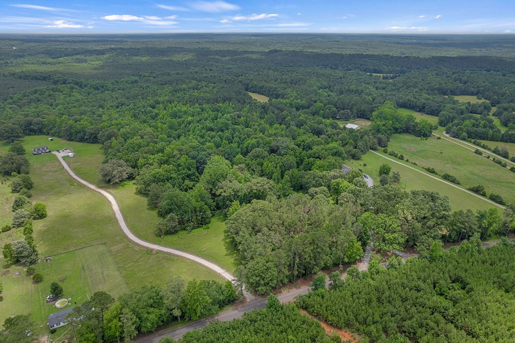 0 Fort Lindley Road Laurens, SC 29360 - Photo 4 of 21