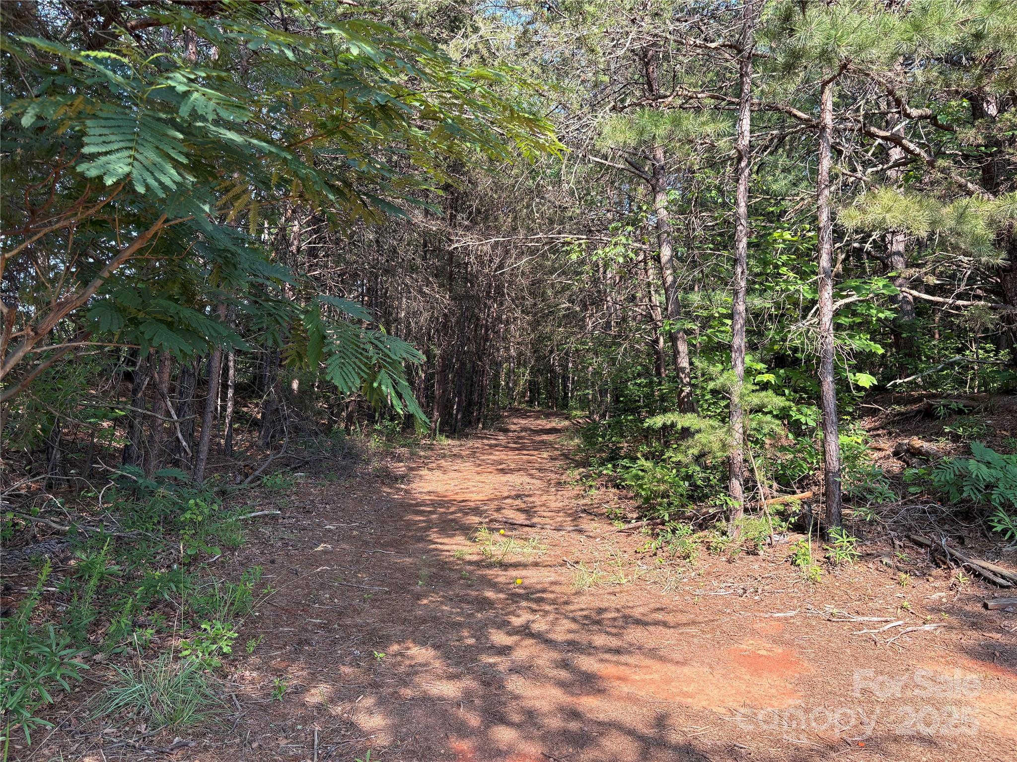 0 Richey Road Taylorsville, NC 28681 - Photo 3 of 7 Gallery Image 3