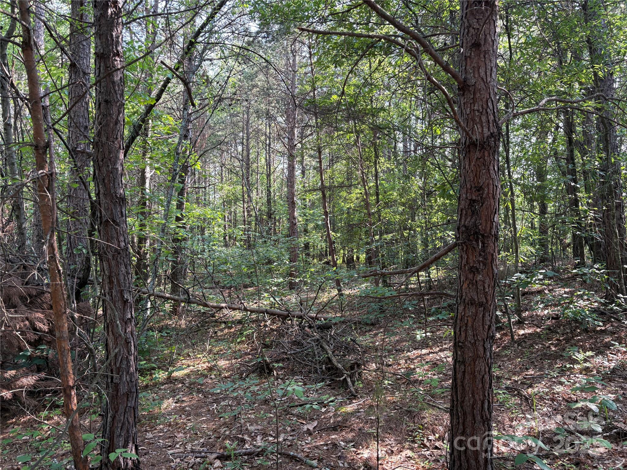 0 Richey Road Taylorsville, NC 28681 - Photo 4 of 7 Gallery Image 4