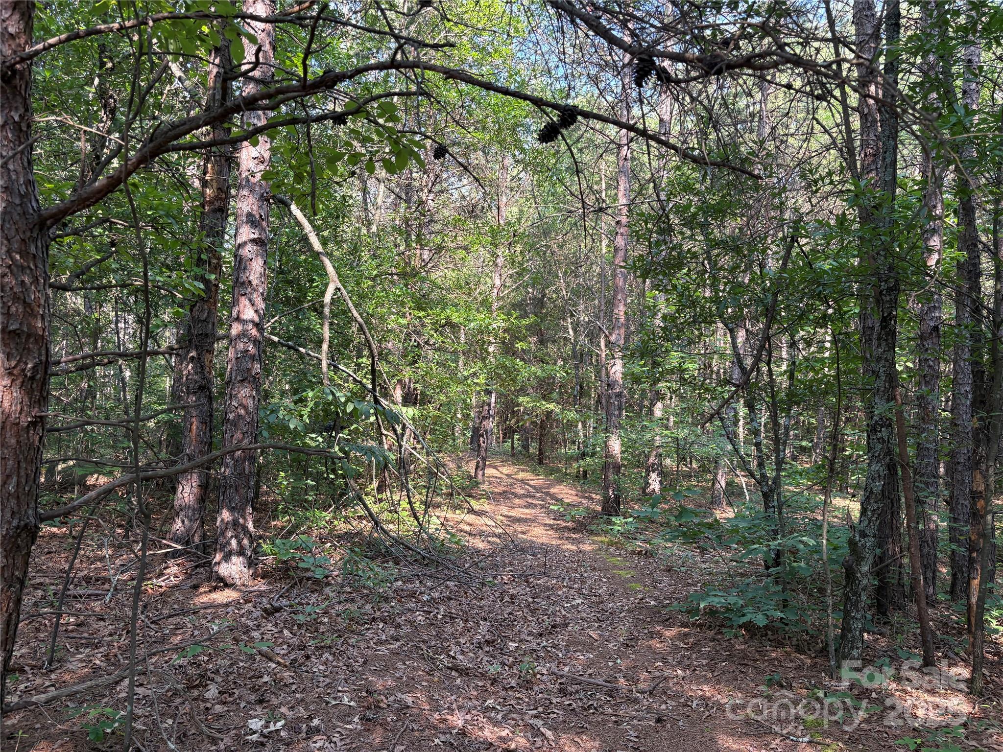 0 Richey Road Taylorsville, NC 28681 - Photo 6 of 7 Gallery Image 6