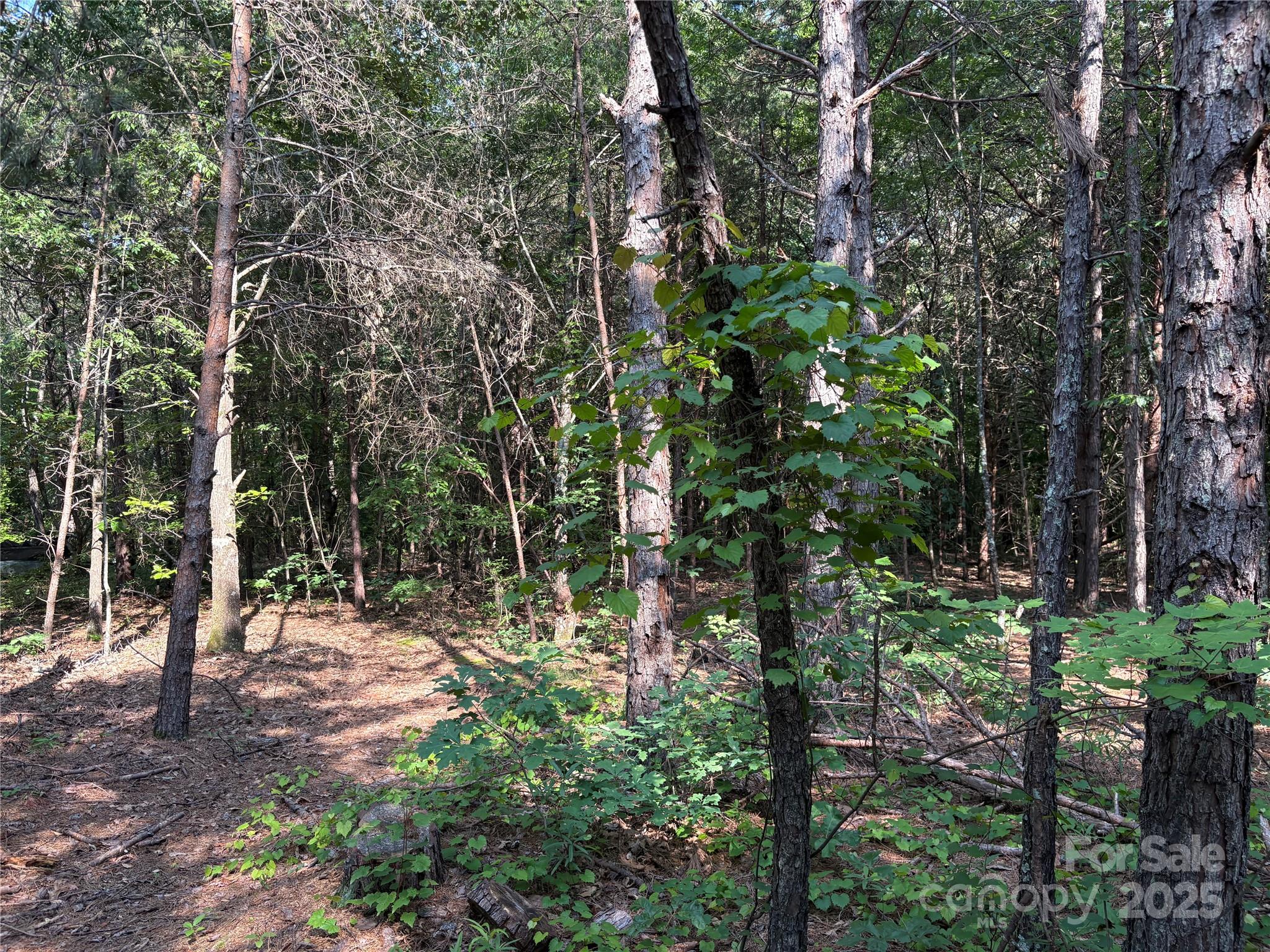0 Richey Road Taylorsville, NC 28681 - Photo 7 of 7 Gallery Image 7
