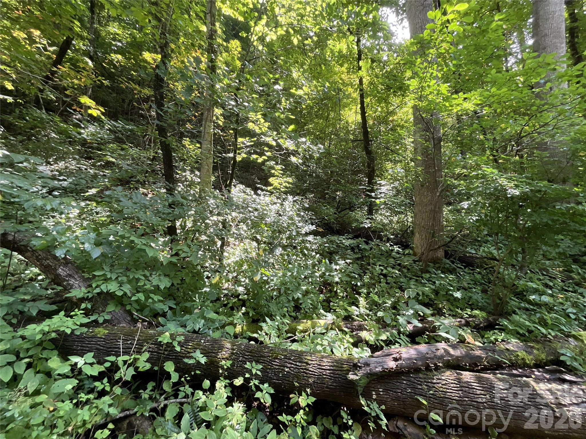 618 Dark Ridge Road Sylva, NC 28779 - Photo 38 of 38 Gallery Image 38