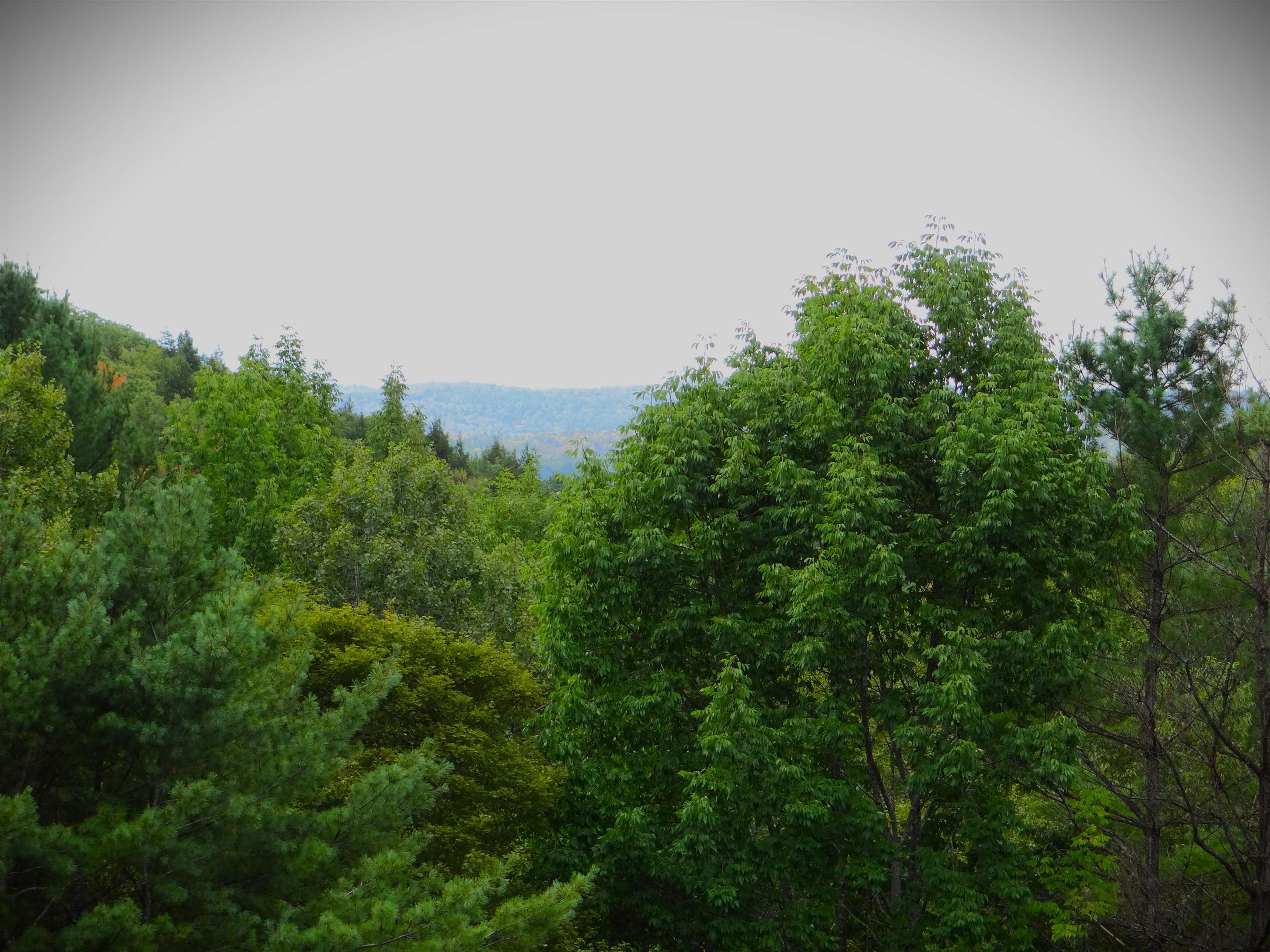 647 Pero Hill Road Thetford, VT 05075 - Photo 58 of 59