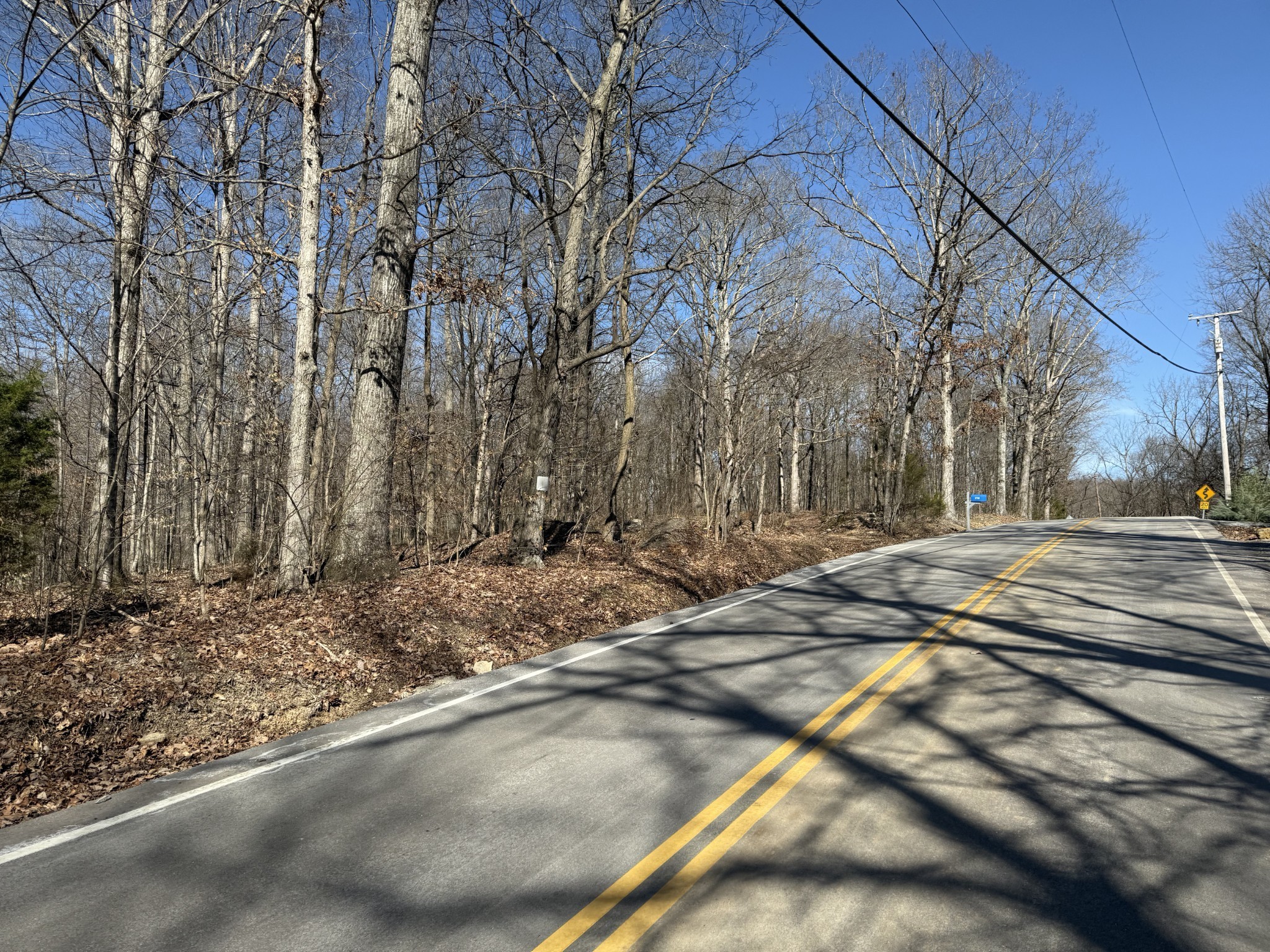 0 Hester Beasley Road Nashville, TN 37221 - Photo 34 of 56 a view of road with large trees