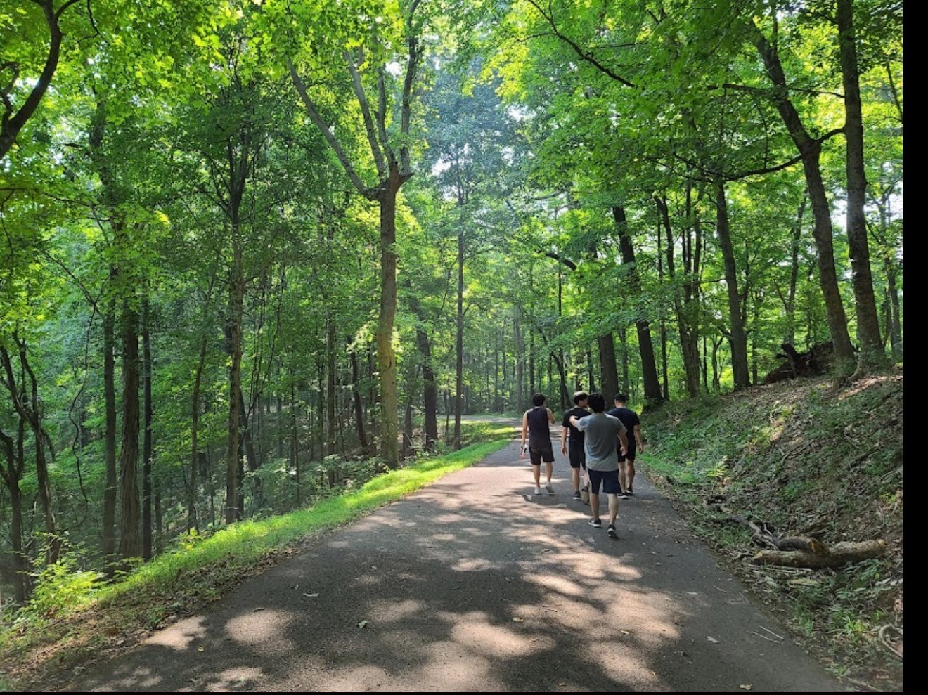 0 Hester Beasley Road Nashville, TN 37221 - Photo 48 of 56 a view of a park with large trees