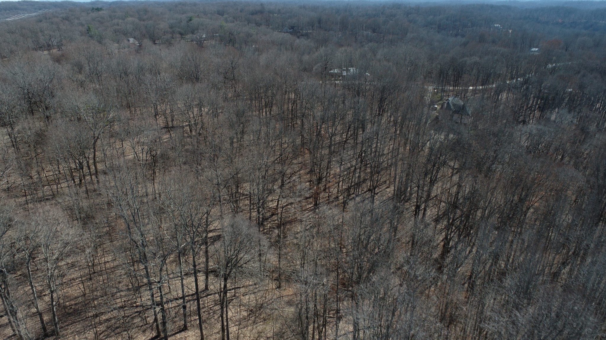 0 Hester Beasley Road Nashville, TN 37221 - Photo 5 of 56 a view of a dry yard