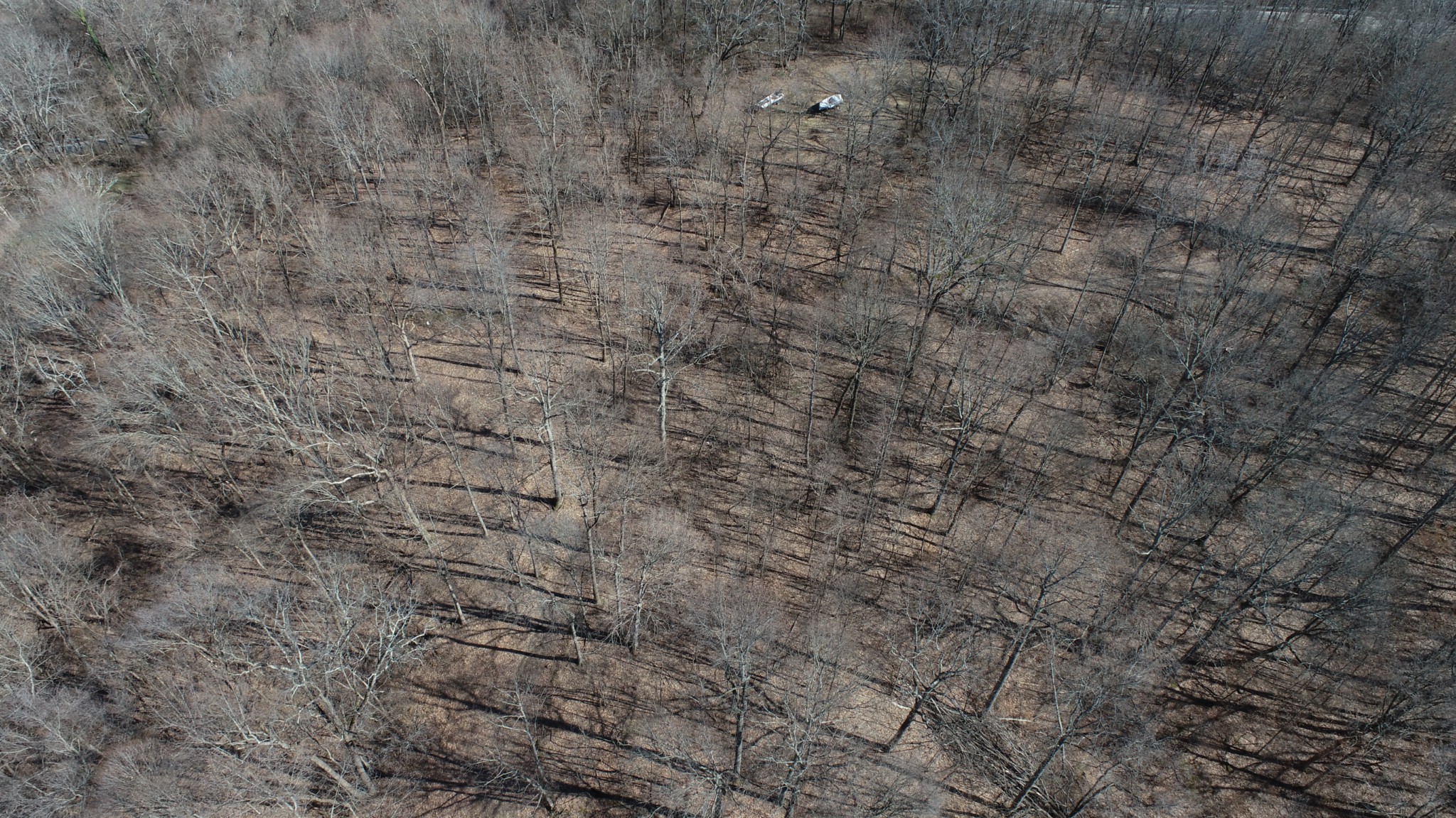 0 Hester Beasley Road Nashville, TN 37221 - Photo 6 of 56 a close up of a white marble wall
