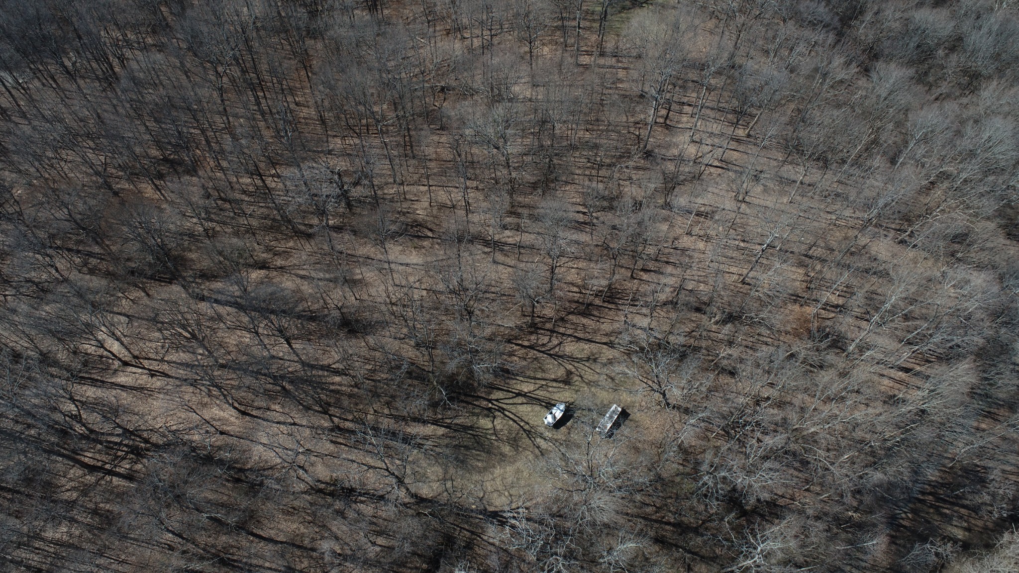 0 Hester Beasley Road Nashville, TN 37221 - Photo 10 of 56 a view of a dry yard