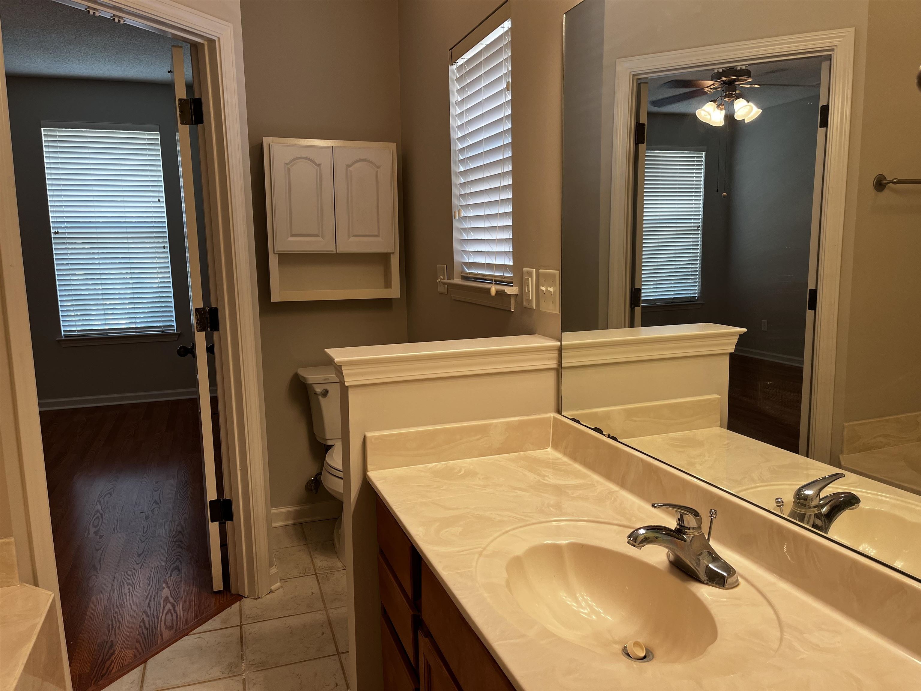 1182 Collierville Arlington Road Collierville, TN 38017 - Photo 25 of 34 a bathroom with a sink and a mirror