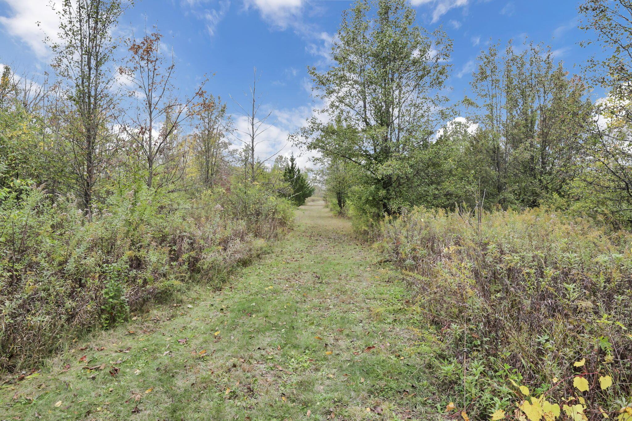 5275 Cosgray Road Dublin, OH 43016 - Photo 61 of 68 72-web-or-mls-011A8813