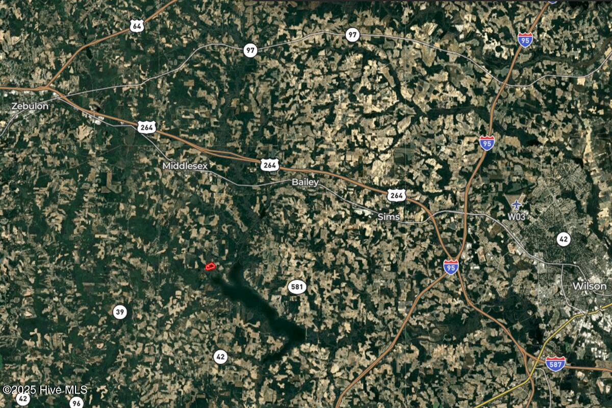 0 Bissette Road Sims, NC 27880 - Photo 41 of 41 41.