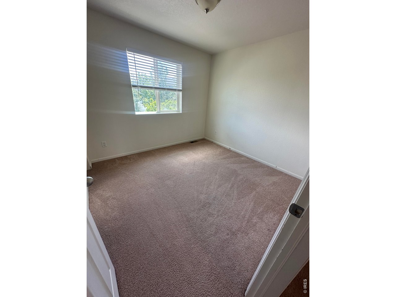 4698 Andes Way Denver, CO 80249 - Photo 17 of 20