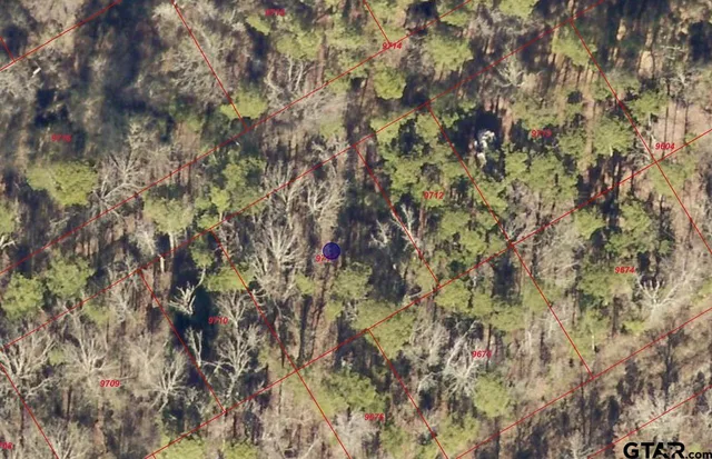 a backyard of a house with lots of plants and trees