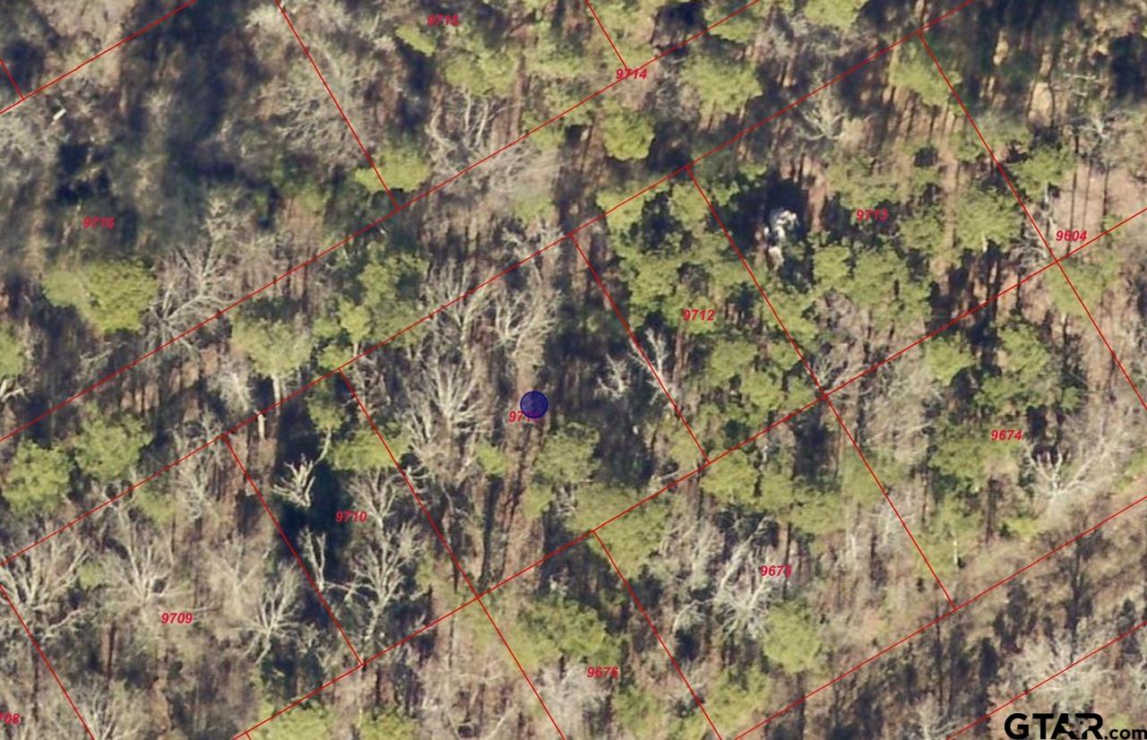 Tbd Corvette Street Ore City, TX 75683 - Photo 14 of 14 a backyard of a house with lots of plants and trees