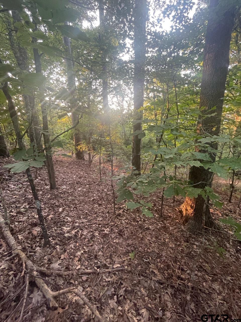 Tbd Corvette Street Ore City, TX 75683 - Photo 8 of 14 a backyard of a house with lots of green space