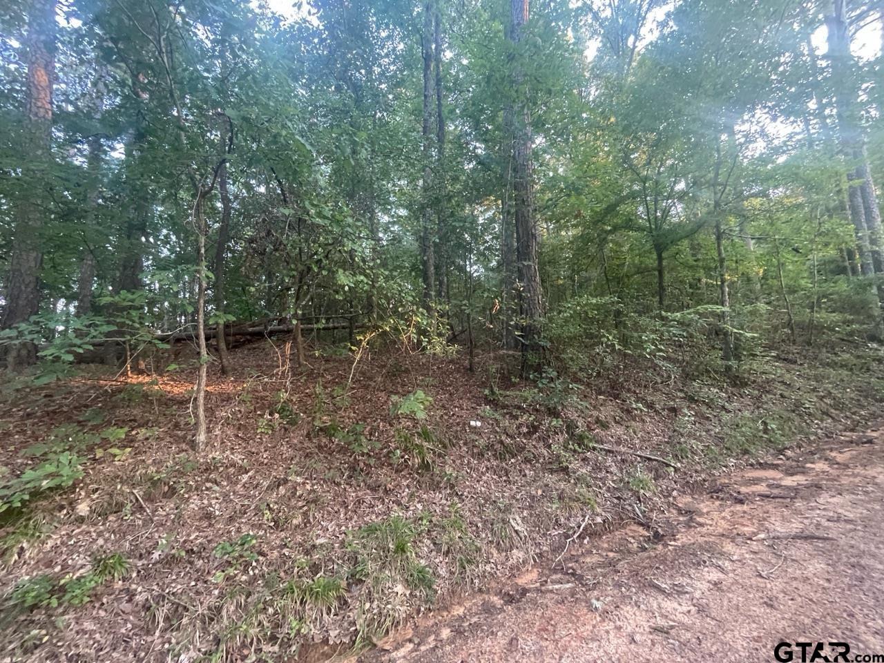 Tbd Corvette Street Ore City, TX 75683 - Photo 10 of 14 a backyard of a house with lots of green space