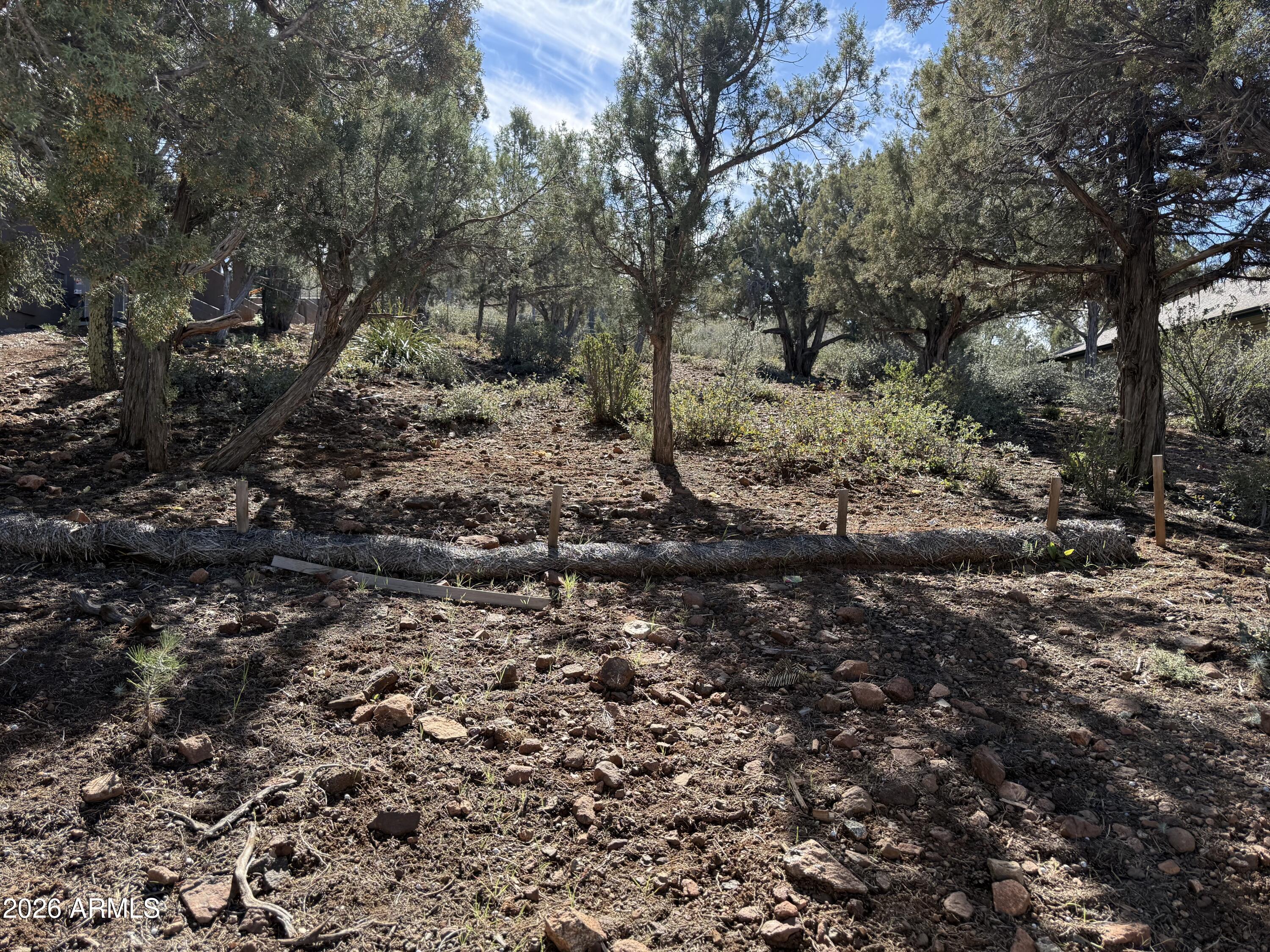 a view of a large yard with lots of green space
