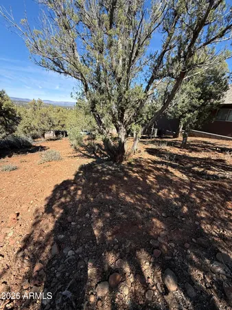 a view of dirt field with trees in the background