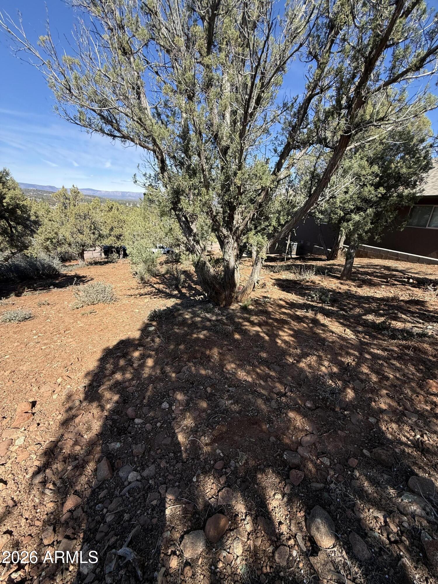 1122 South Sycamore Circle, Unit 58 Payson, AZ 85541 - Photo 2 of 5 a view of dirt field with trees in the background