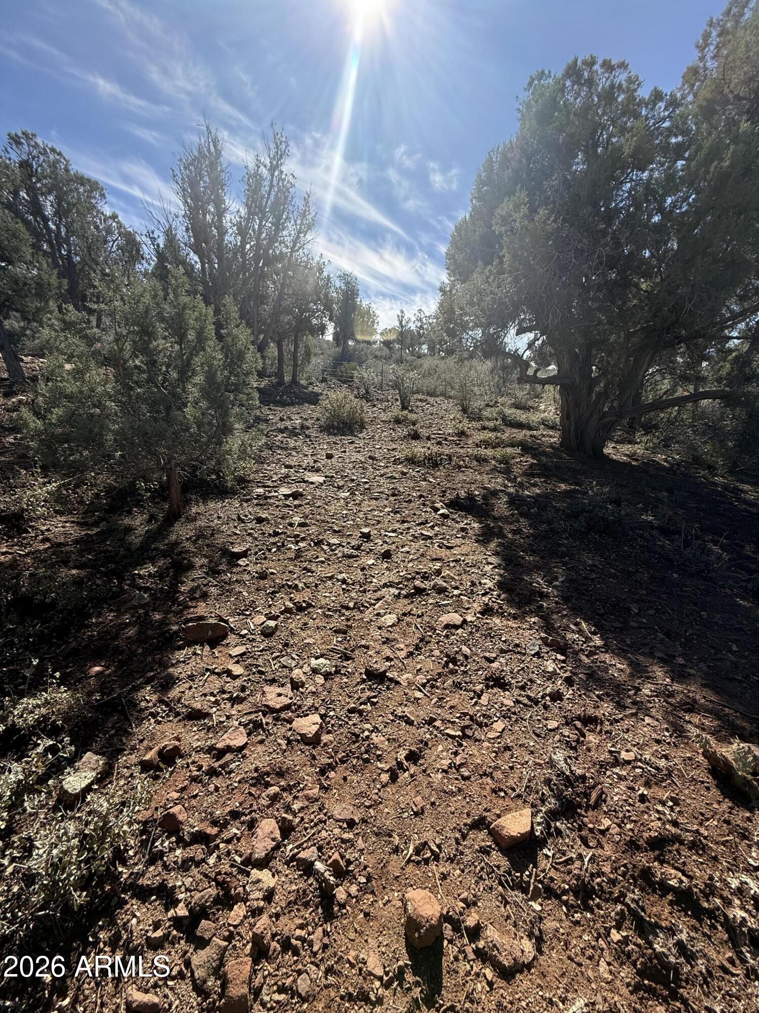 1122 South Sycamore Circle, Unit 58 Payson, AZ 85541 - Photo 4 of 5 a view of a yard with a tree