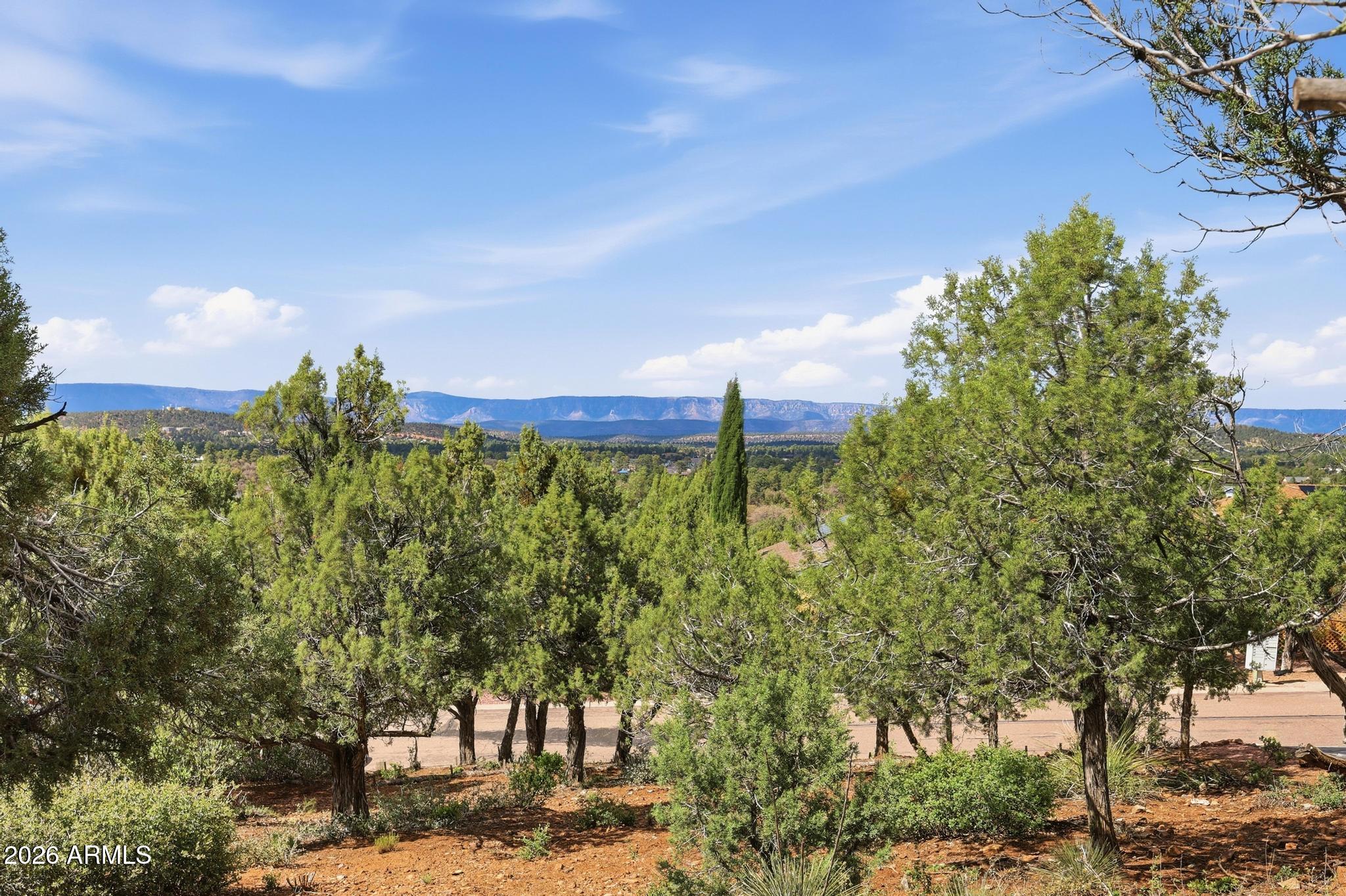 1122 South Sycamore Circle, Unit 58 Payson, AZ 85541 - Photo 8 of 10 a view of a bunch of trees