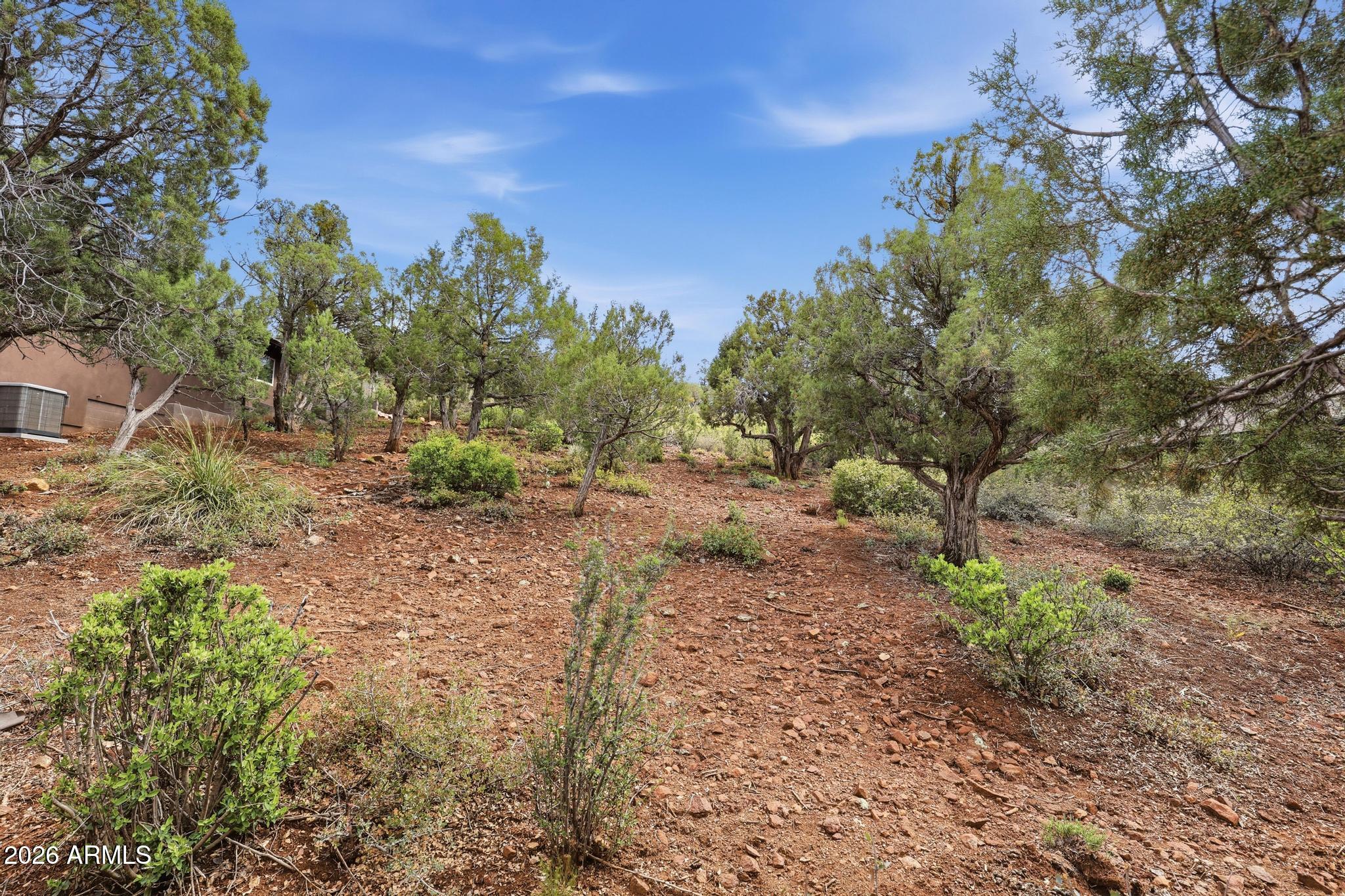 1122 South Sycamore Circle, Unit 58 Payson, AZ 85541 - Photo 9 of 10 a view of a yard with a tree
