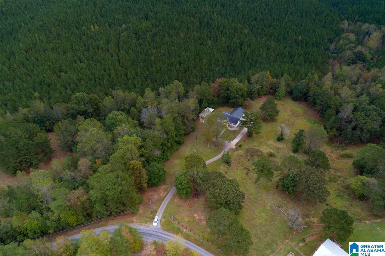 1988 Rock Springs Road Warrior, AL 35180 - Photo 38 of 41