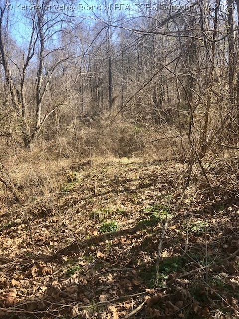 0 Grapevine Road Charleston, WV 25320 - Photo 22 of 36 Gallery Image 22