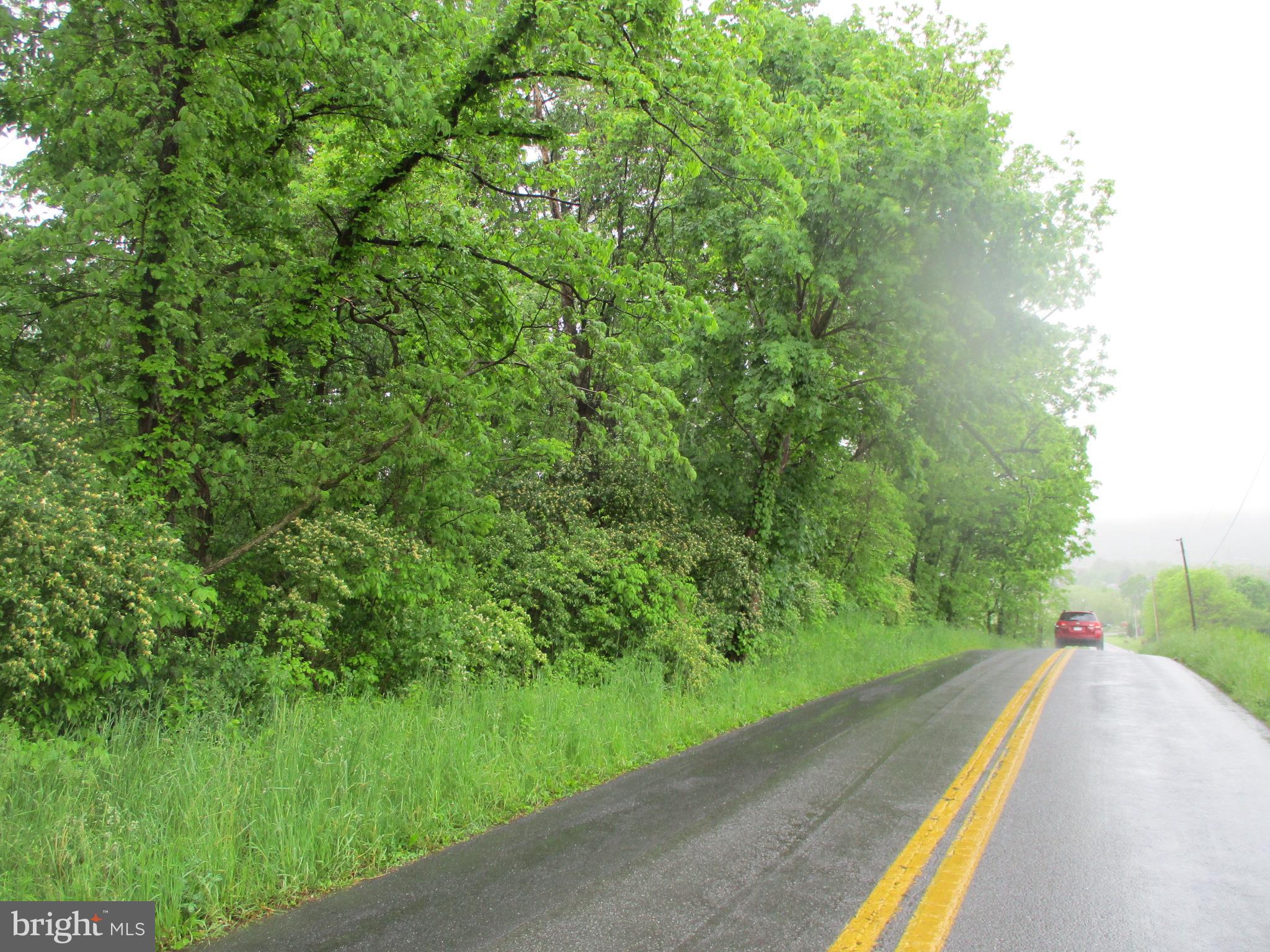 2.09 Tabler Station Road Gerrardstown, WV 25420 - Photo 2 of 4
