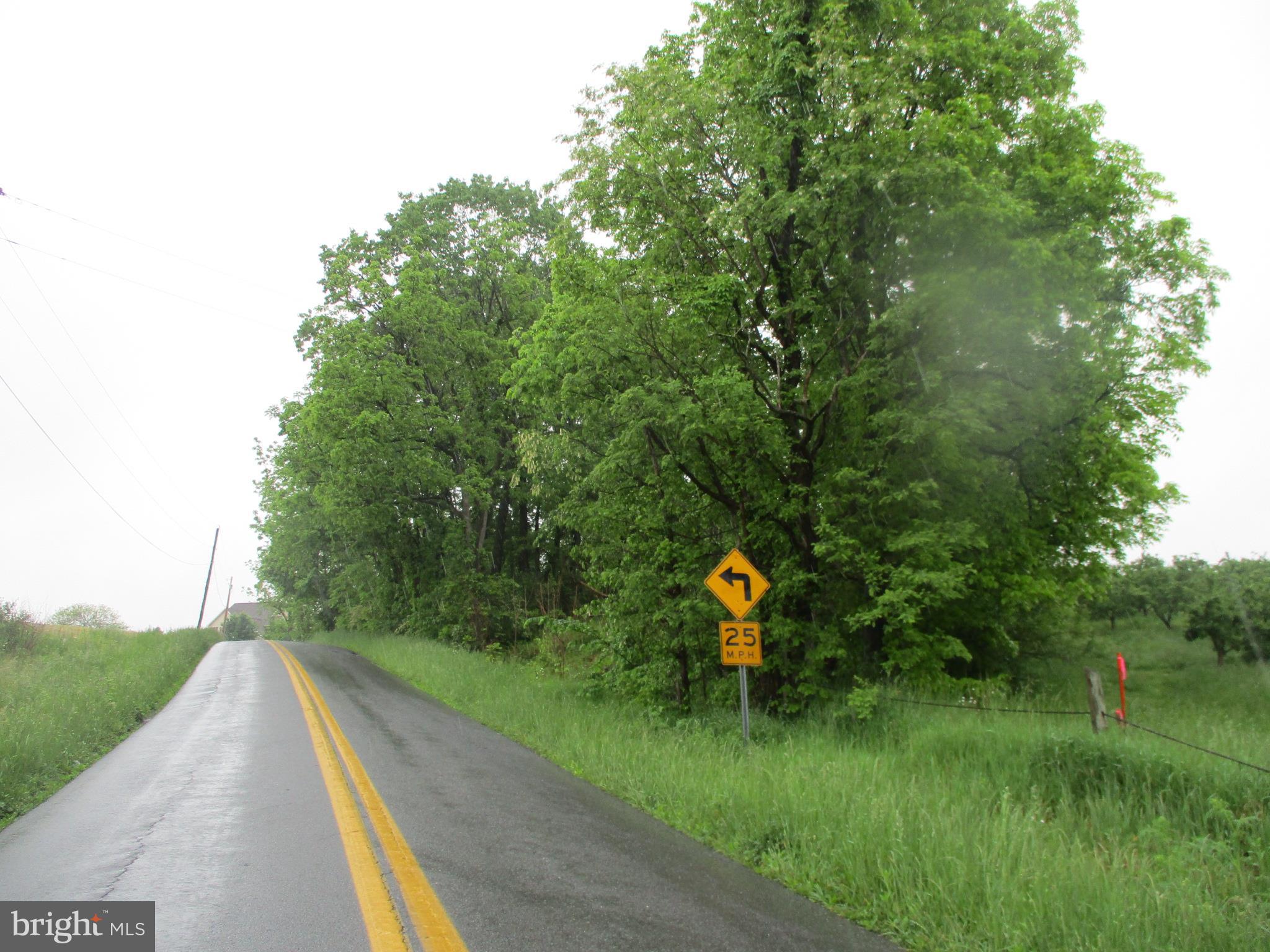 2.09 Tabler Station Road Gerrardstown, WV 25420 - Photo 3 of 4